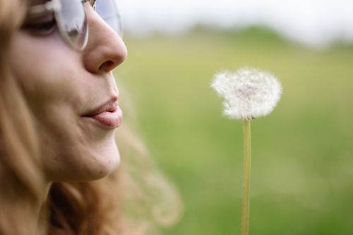 Free A woman in glasses blows a dandelion in a lush green field. Capturing a serene, natural moment. Stock Photo