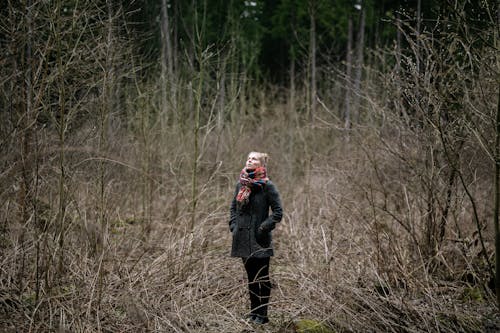 Darmowe zdjęcie z galerii z ciepłe ubranie, drzewa, jałowe drzewa