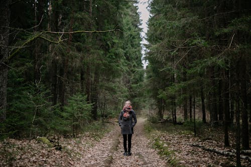 Woman Standing on a Footpath in a Forest