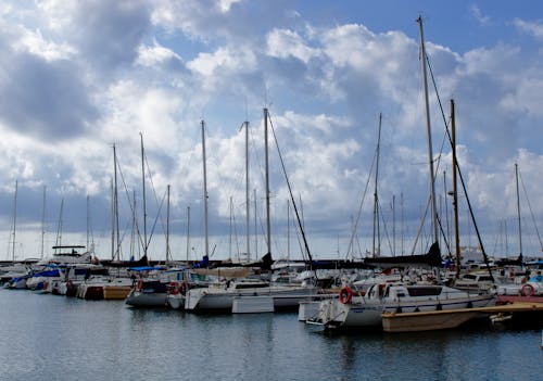 免費 帆船, 水上技能, 波特酒 的 免費圖庫相片 圖庫相片