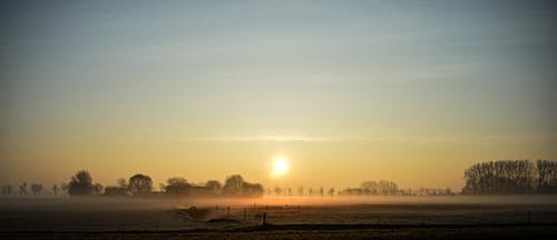 Free stock photo of countryside, early sunrise, foggy Stock Photo