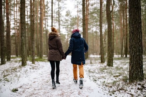 Free Back view of a couple holding hands, strolling through a snowy forest path in winter. Stock Photo