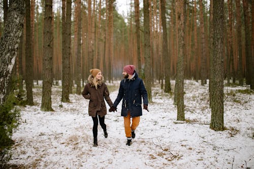 Immagine gratuita di abbaiare, alberi, berretti