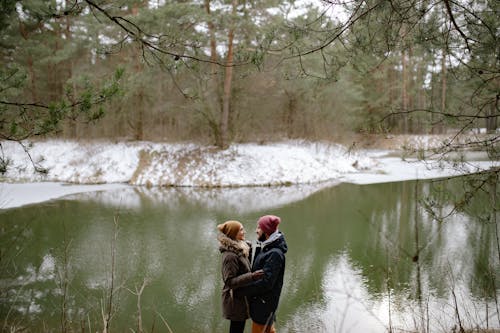 Immagine gratuita di alberi, amore, boschi