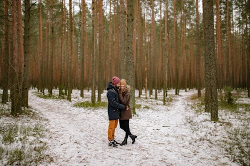 Immagine gratuita di alberi, amore, berretti