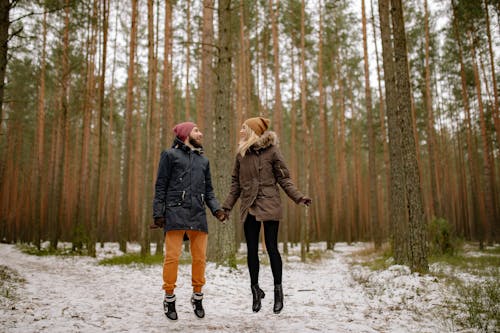 Immagine gratuita di alberi, amore, boschi