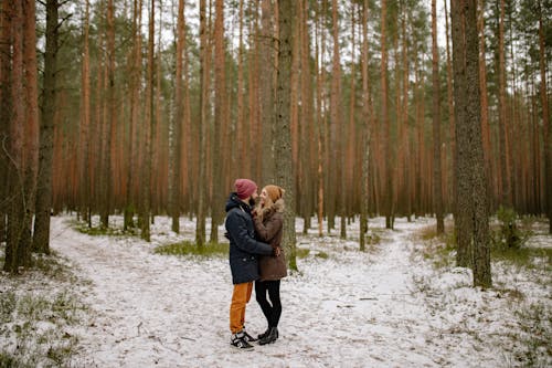 Immagine gratuita di alberi, amore, boschi