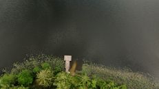 Brown Wooden Dock on River