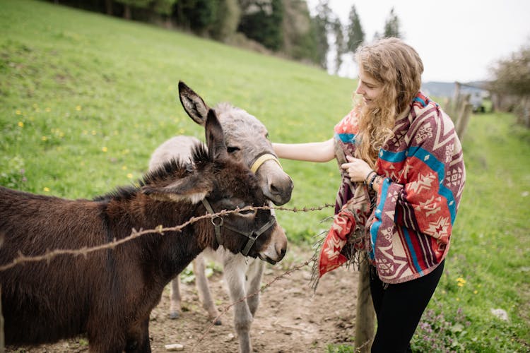 A Woman Holding A Donkey