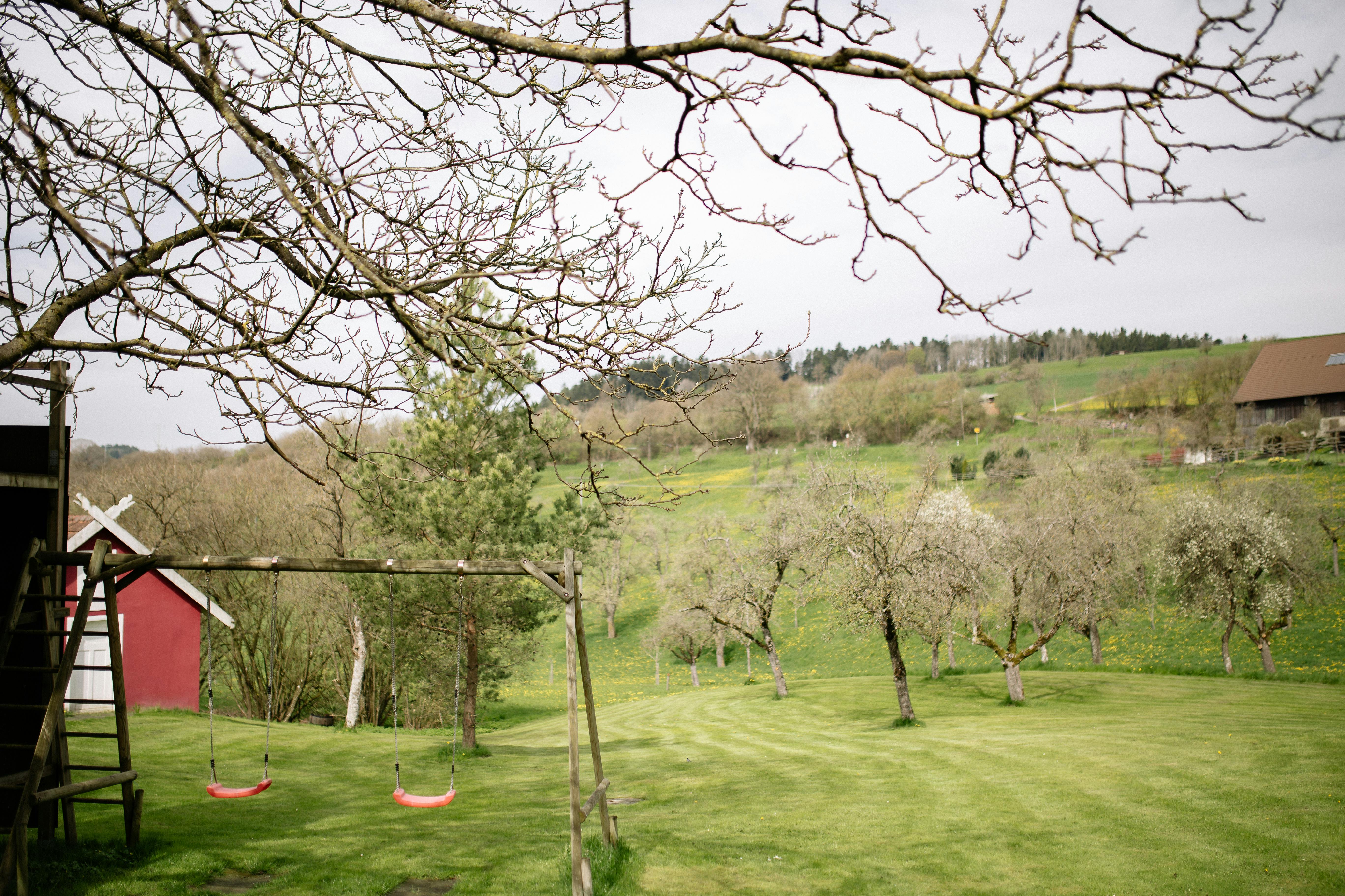 宁静的乡村景象中，光秃秃的树木和空荡荡的秋千，传达着和平与孤独