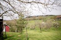 宁静的乡村景象中，光秃秃的树木和空荡荡的秋千，传达着和平与孤独