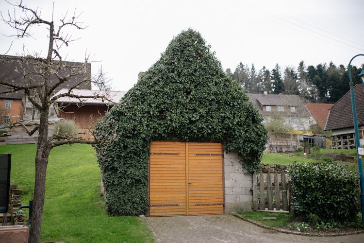 Garage In Backyard