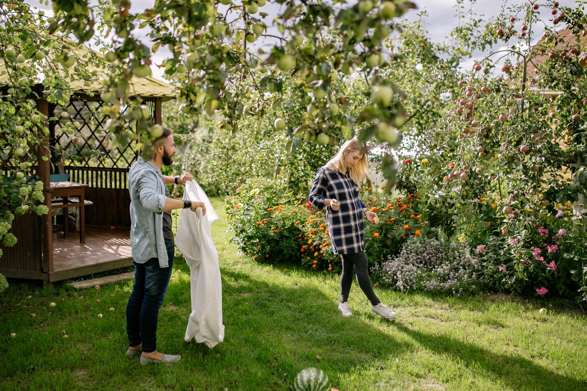 Schluss mit Garten-Langeweile: 2 kreative Sommer-Tricks — Problem-Szenario