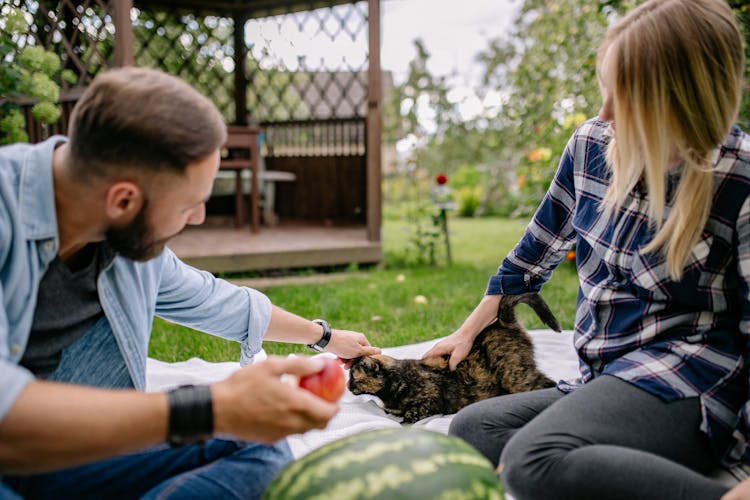 A Man And A Woman Petting A Cat