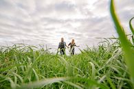 Couple Running Across Pastu