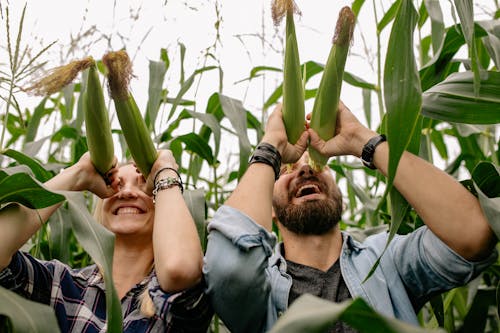 Man and Woman Pretending to Look Through Corn