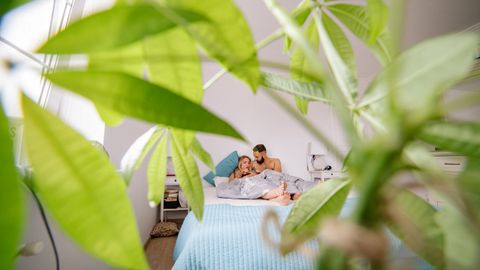 A couple enjoying a peaceful moment in a cozy, plant-filled bedroom.