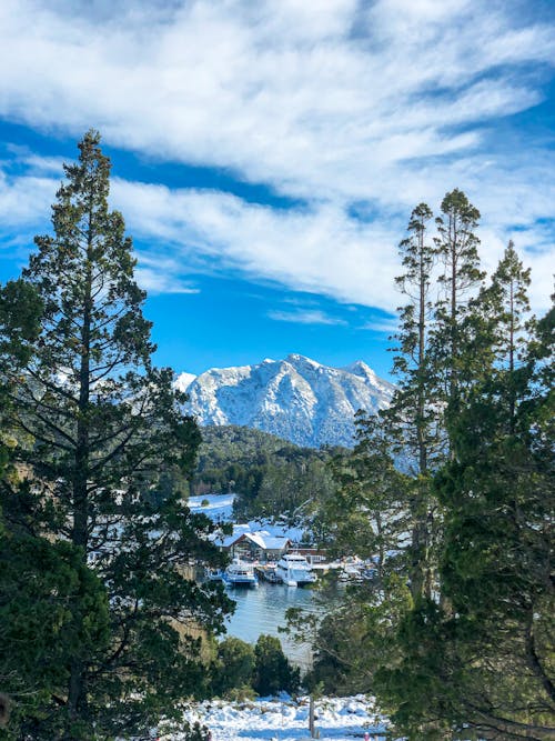Бесплатное стоковое фото с горы, деревья, озеро