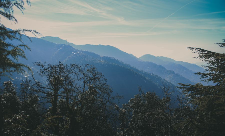 Dalhousie photo 5