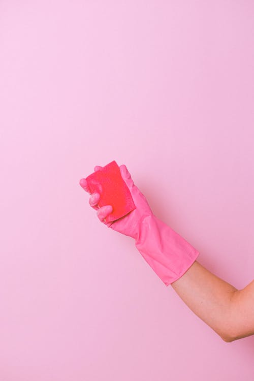 Unrecognizable housekeeper wearing latex glove standing on pink background with sponge in hand for cleaning dirt surface in bright studio