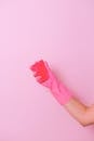 Unrecognizable housekeeper wearing latex glove standing on pink background with sponge in hand for cleaning dirt surface in bright studio