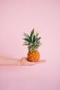 Crop anonymous person demonstrating small ripe pineapple on hand against light pink background in modern studio
