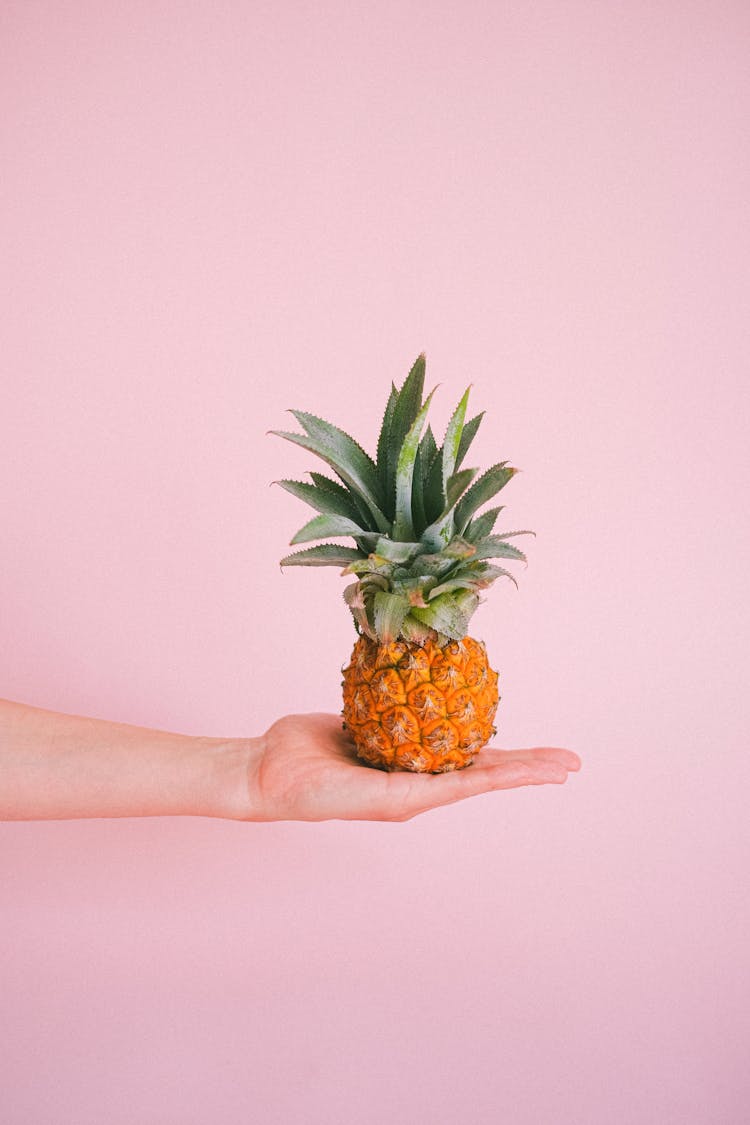 Crop Faceless Person Showing Small Pineapple In Studio