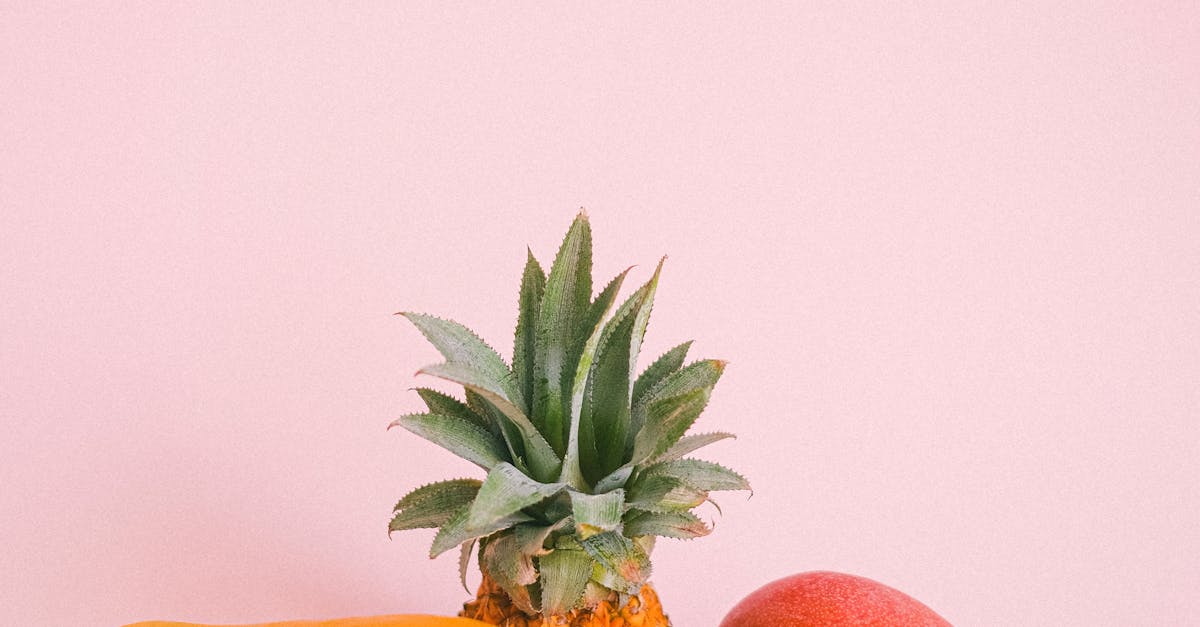 Photo by Anna Shvets Composition of ripe yummy exotic fruits including mango pineapple and dragon fruit arranged on pink surface in light studio