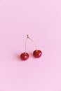 Red ripe cherries on pink surface