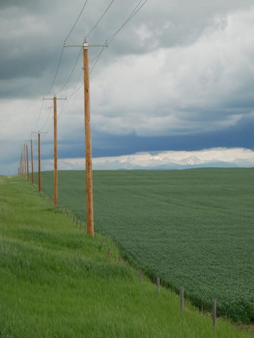 Electricity Poles in a Row on a Field