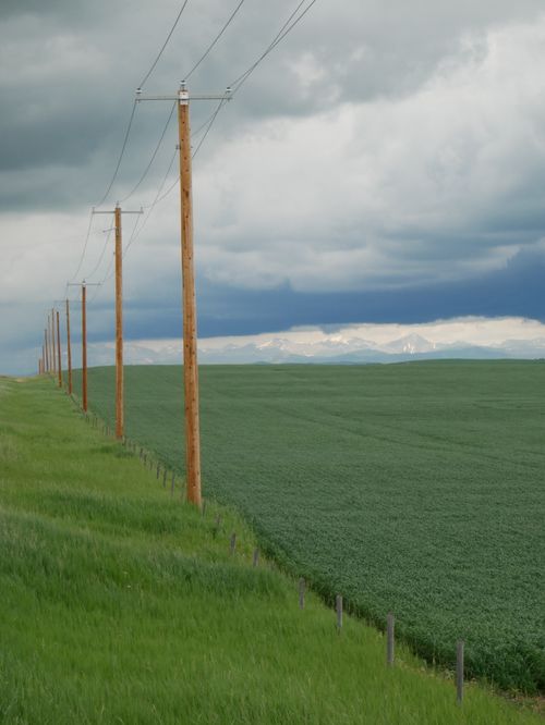 Free A vast green field lined with wooden power poles under a dramatic cloudy sky. Stock Photo