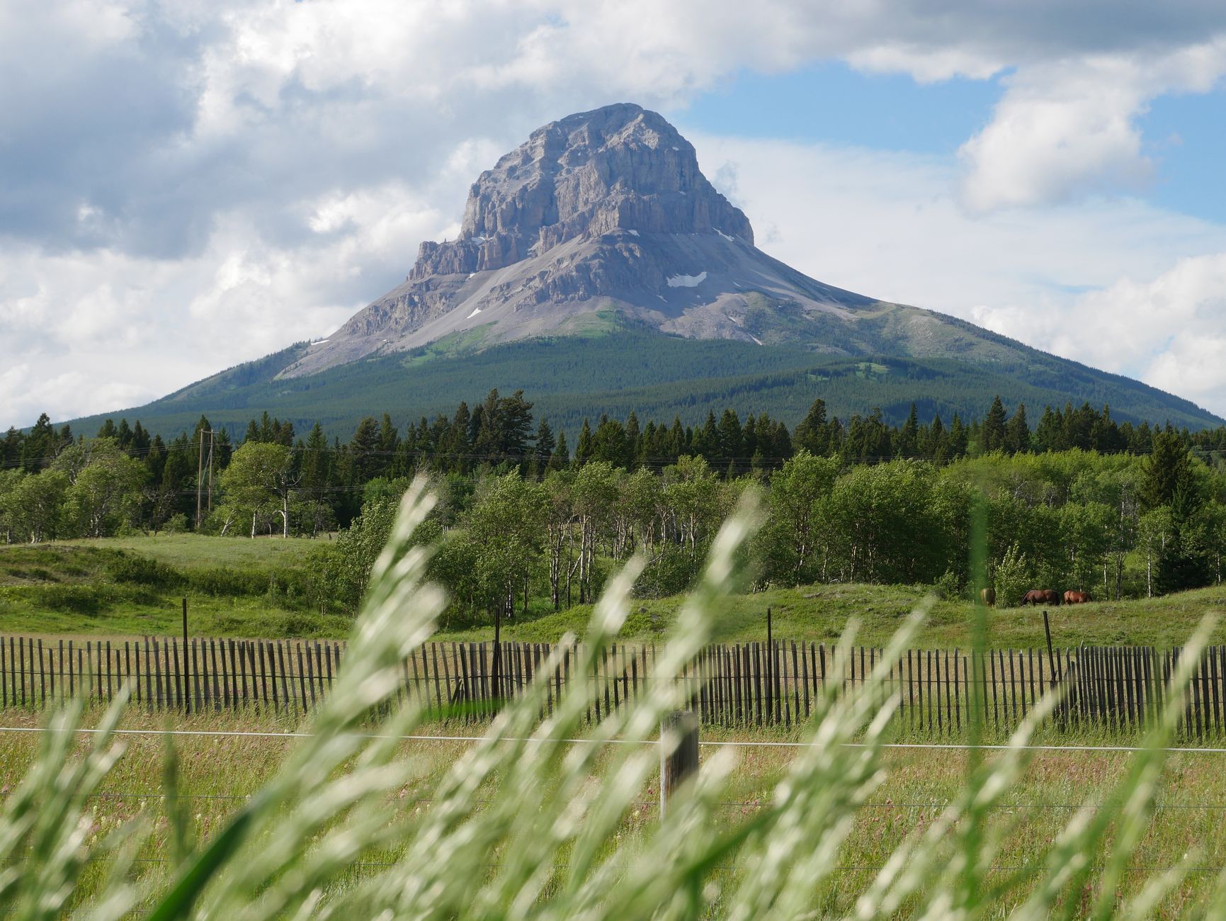 Montana photo 5