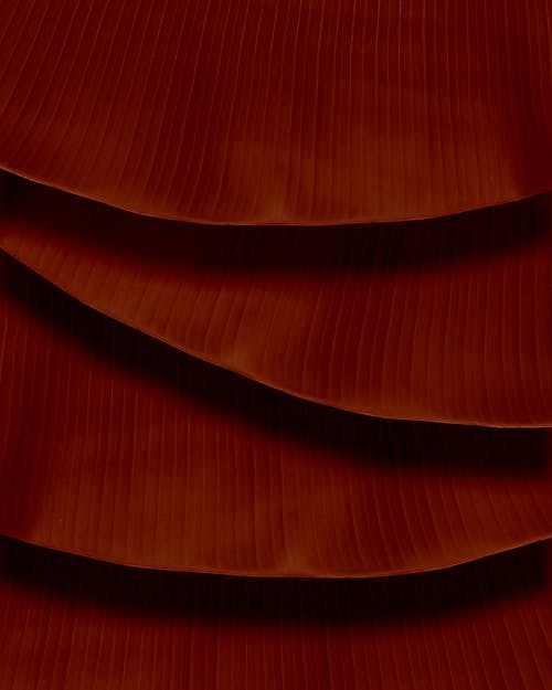 Free Close up of Red Surfaces Stock Photo