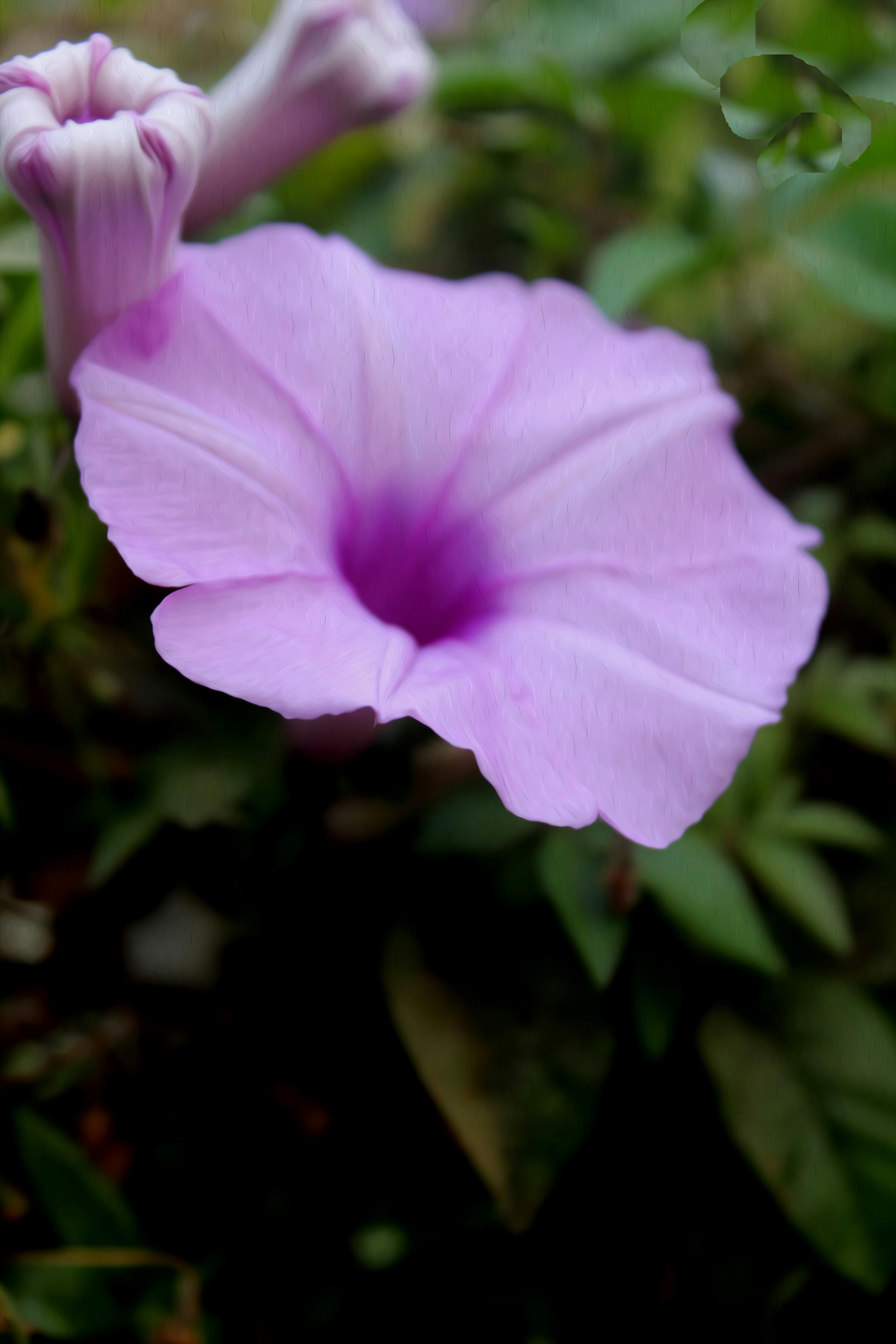 Impressions instantanées