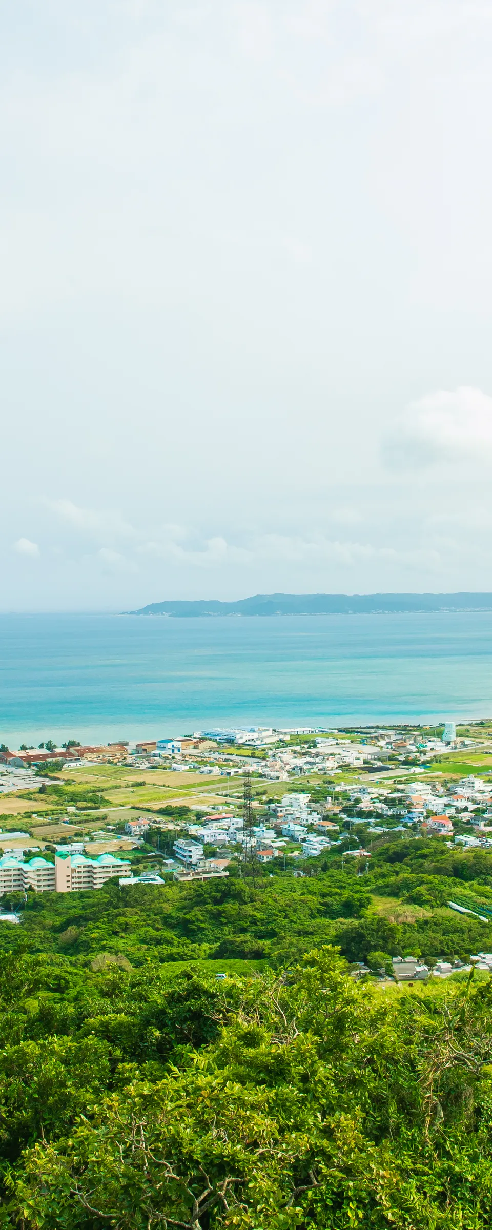 Private Okinawa Blue Zone Ogimi Longevity Tour