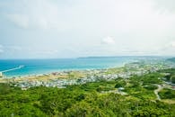 Coastal town with green plants against blue sea