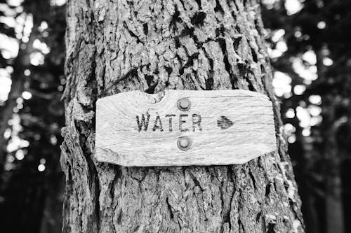 Grayscale Photography of Water Signage