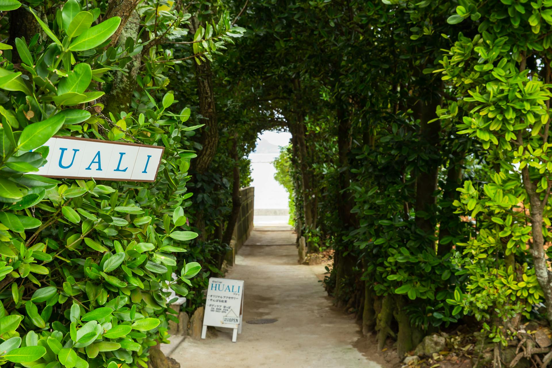 Pathway with inscriptions between greenery trees in urban garden