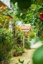 Empty walkway in greenery garden with houses