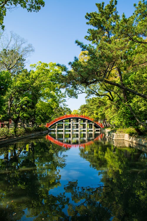 Yeşil Ağaçların Arasındaki Kanalın üzerinde Eski Asya Köprüsü