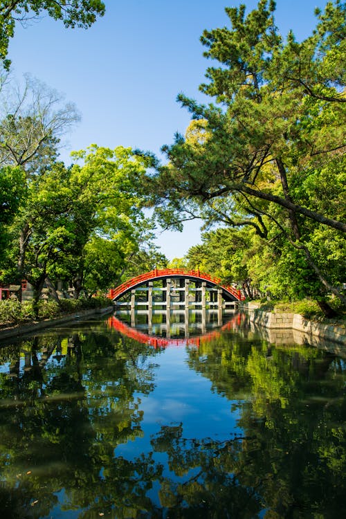 Vieux Pont Asiatique Au Dessus Du Canal Entre Les Arbres De Verdure