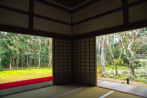 Spacious house interior near green meadow with trees