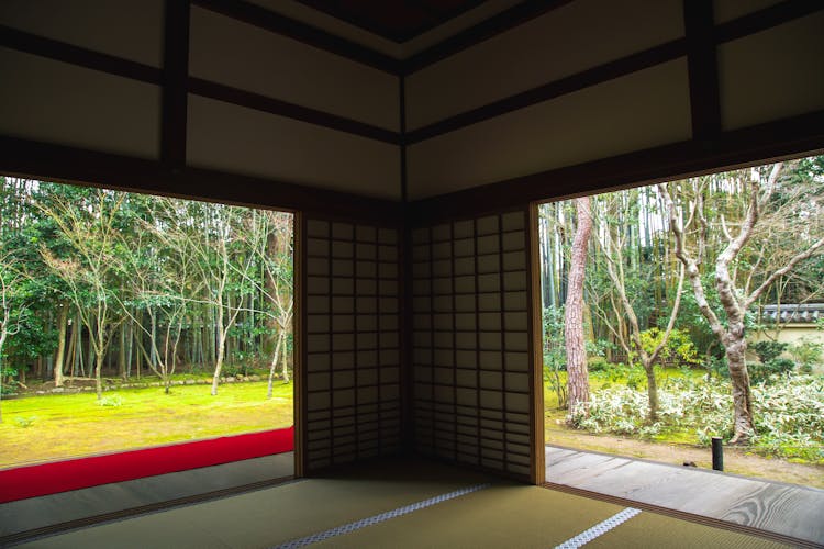 Spacious House Interior Near Green Meadow With Trees