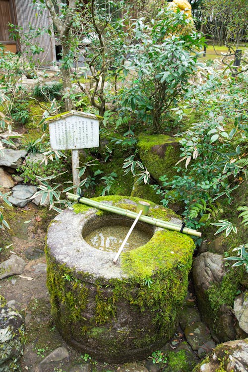 Wastafel Ritual Tradisional Jepang Di Taman Tropis