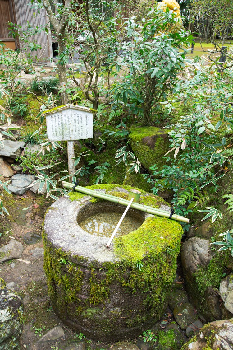 Traditional Ritual Japanese Washbasin In Tropical Garden