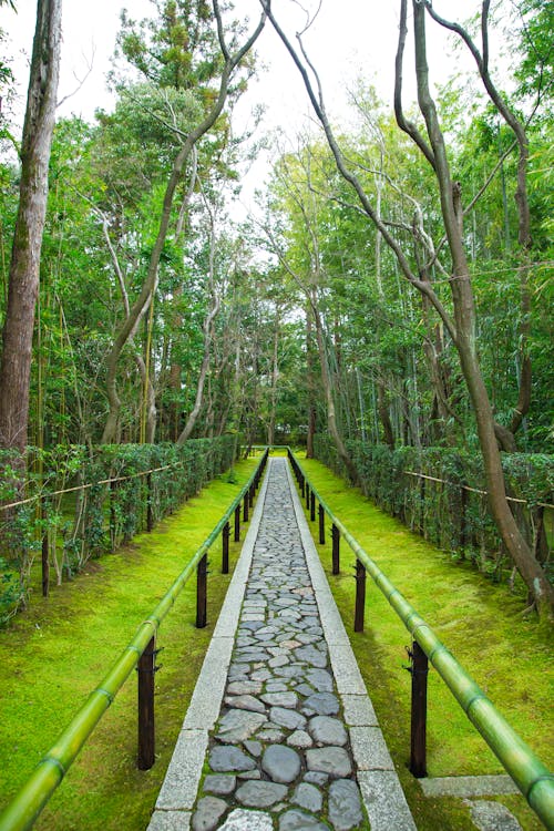 Free Empty stone walkway with bamboo railings located in green tropical garden on territory of ancient Daitoku ji Buddhist temple Stock Photo