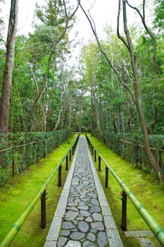 Empty stone walkway with bamboo railings located in green tropical garden on territory of ancient Daitoku ji Buddhist temple