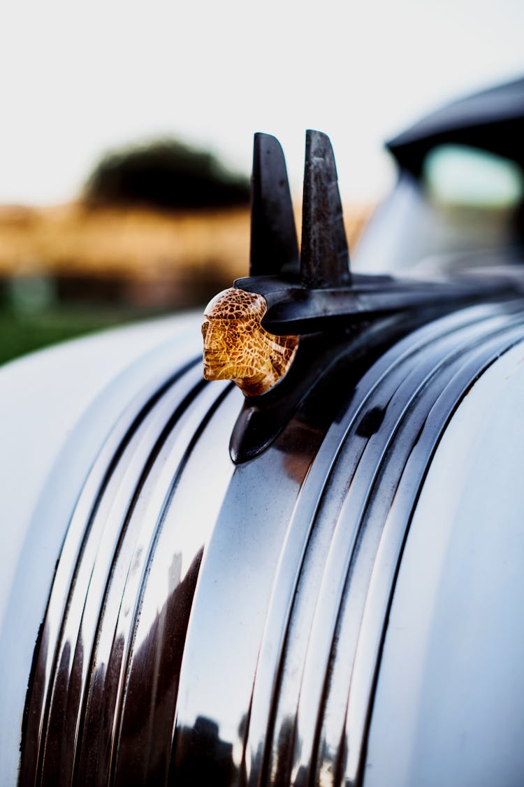 Close-up Of The Emblem Of A Car