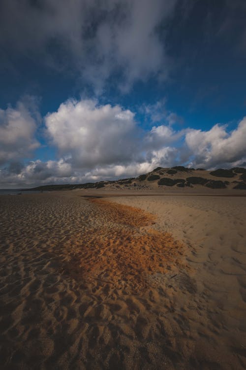Amazing scenery of sandy dunes in desert against cloudy blue sky in sunlight