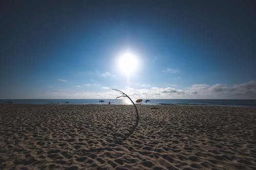 Free Sun shining over sandy coastline of sea Stock Photo